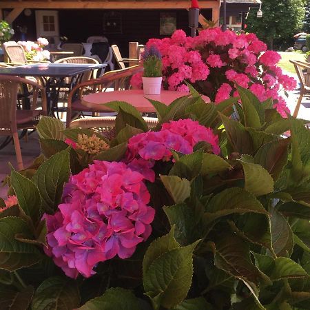 Boerderijcamping Plantlust Veere Eksteriør billede