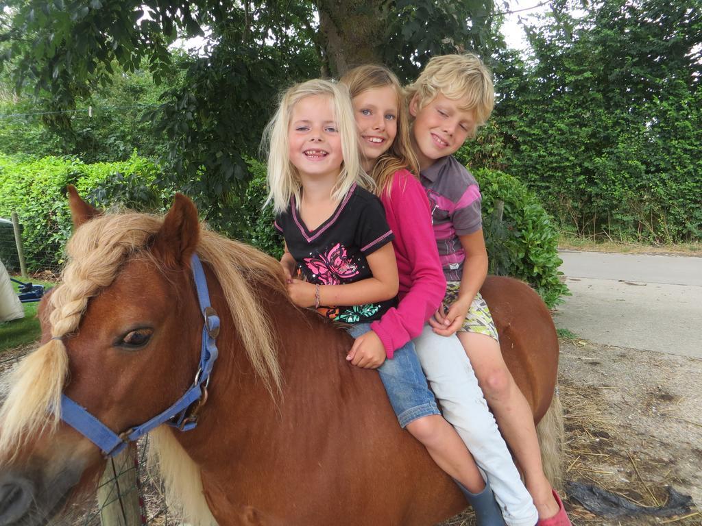 Boerderijcamping Plantlust Veere Værelse billede