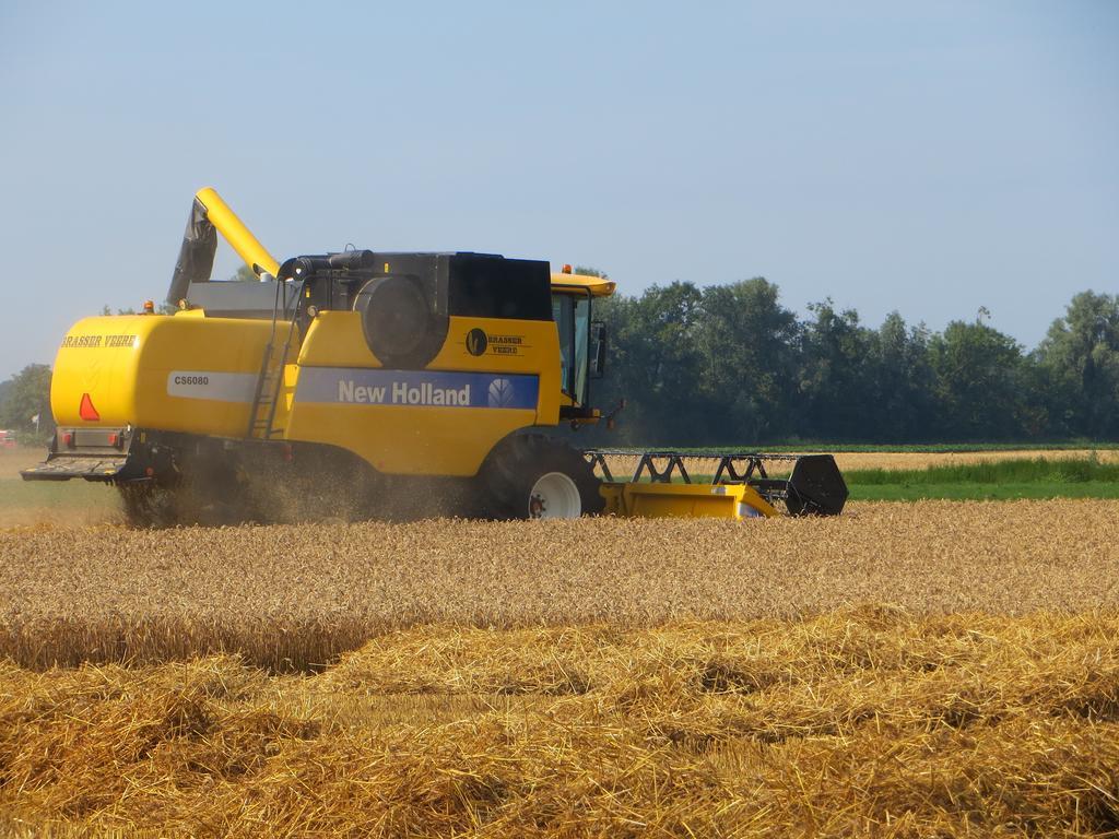 Boerderijcamping Plantlust Veere Værelse billede
