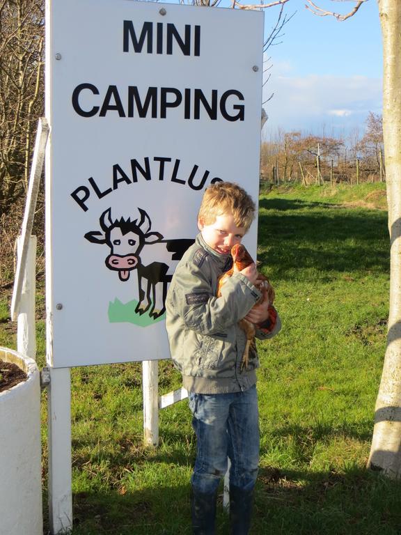 Boerderijcamping Plantlust Veere Eksteriør billede